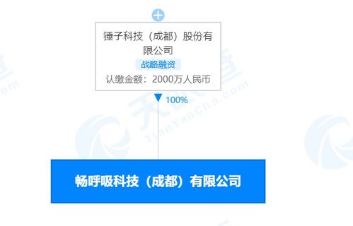 錘子科技關聯公司及其法定代表人溫洪喜被限制消費 計算機軟件技術開發的警示與反思